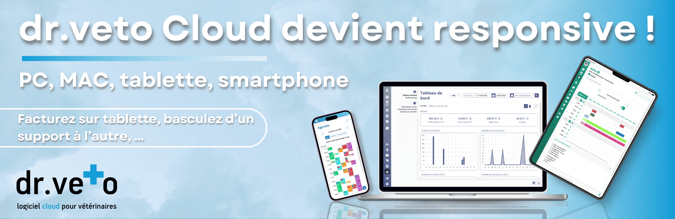 Bannière ALCYON - Responsive Cloud.png